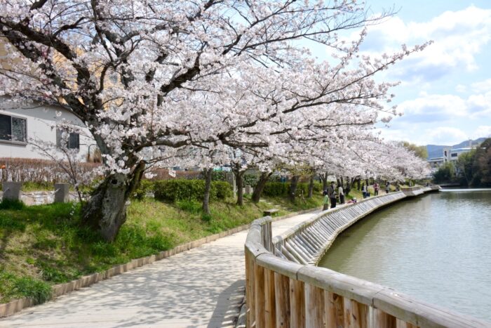 亀岡市・サンガスタジアム