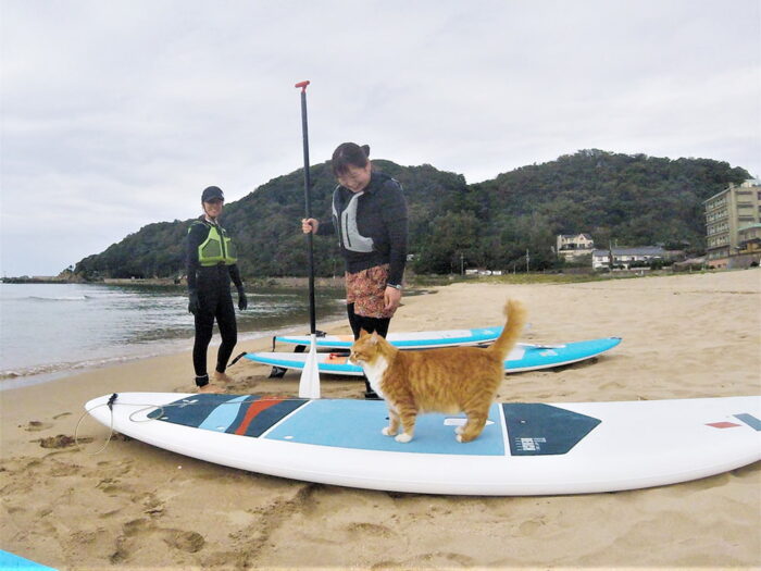 京丹後135°EAST／こまちゃん