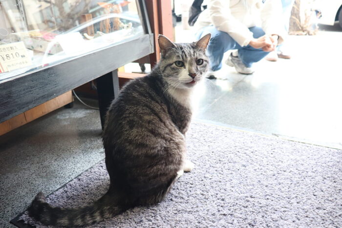 船はしや総本店／シロ店長