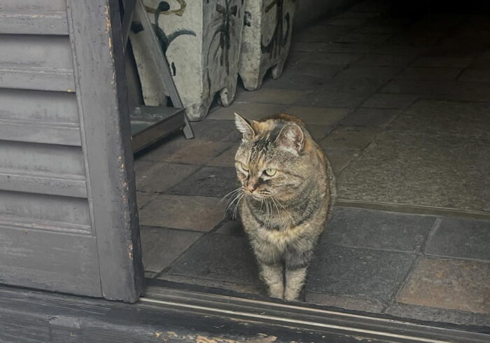 河井寛次郎記念館／えきちゃん
