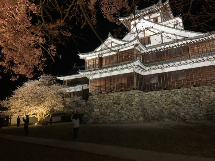 福知山城と夜桜