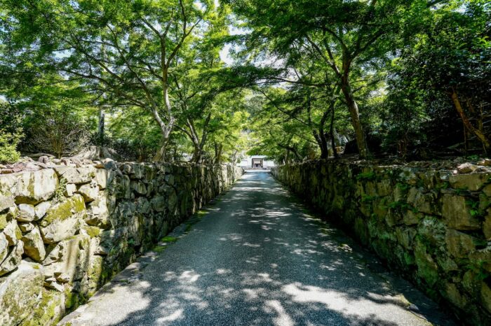 興聖寺