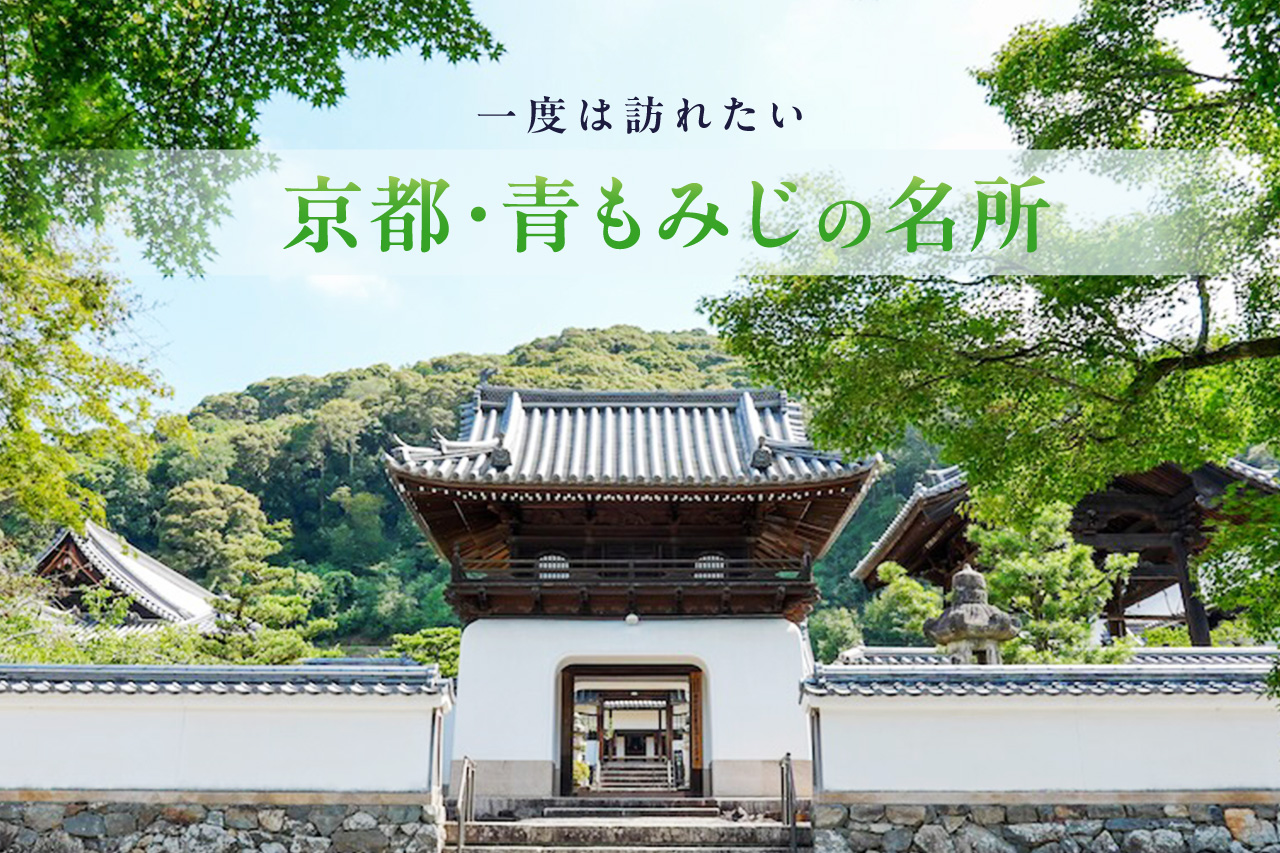 京都青もみじの名所　バナー