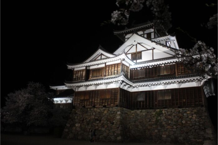 【福知山市】福知山城ライトアップ