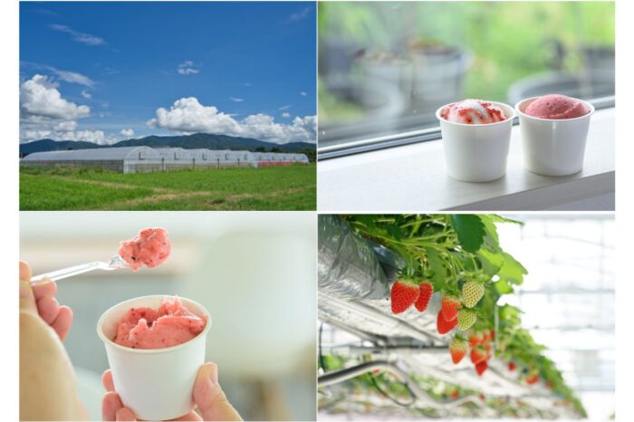 【亀岡市】いちご農家Cafe Goccia