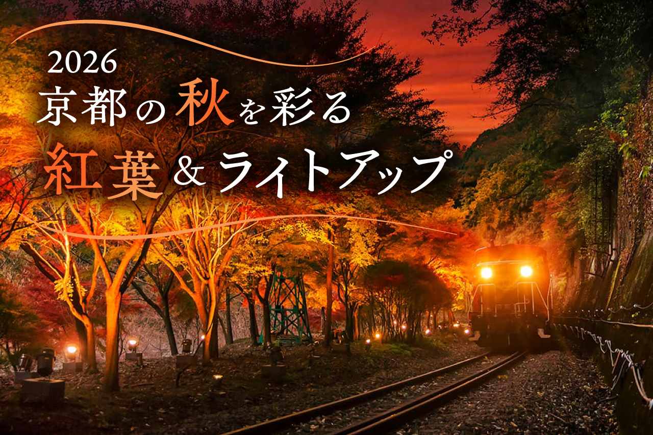 紅葉&ライトアップ